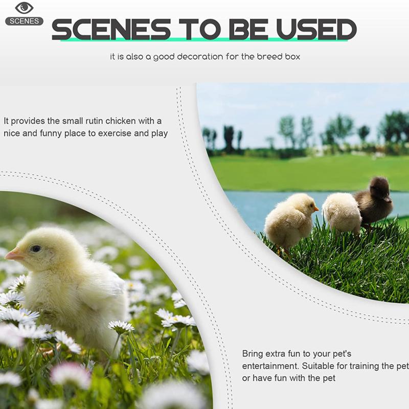 Haustier-Holzhaus, Versteck, Mehrzweck-Unterschlupf, Landschaftsbau-Zubehör für Hühner, Hamster, Chinchillas