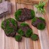 62KD 6Pieces Artificial Moss Rocks False Moss DIY for Garden Crafting Decorations
