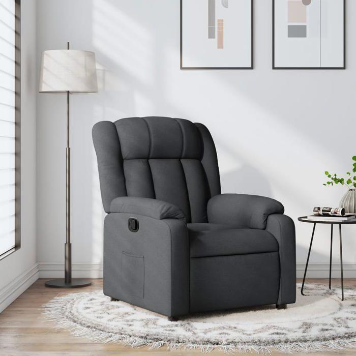 VidaXL Fauteuil Inclinable, Chaise avec Repose-pieds, Siège avec Dossier et Accoudoirs, Meuble de Salle de Séjour, Moderne, 373575