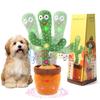 MIAODAM Educational Toy for Electric Dancing Cactus Pet Day Recording Parrot 60 Songs Adjustable Safety Japanese Instructions Indoor Stress Suitable