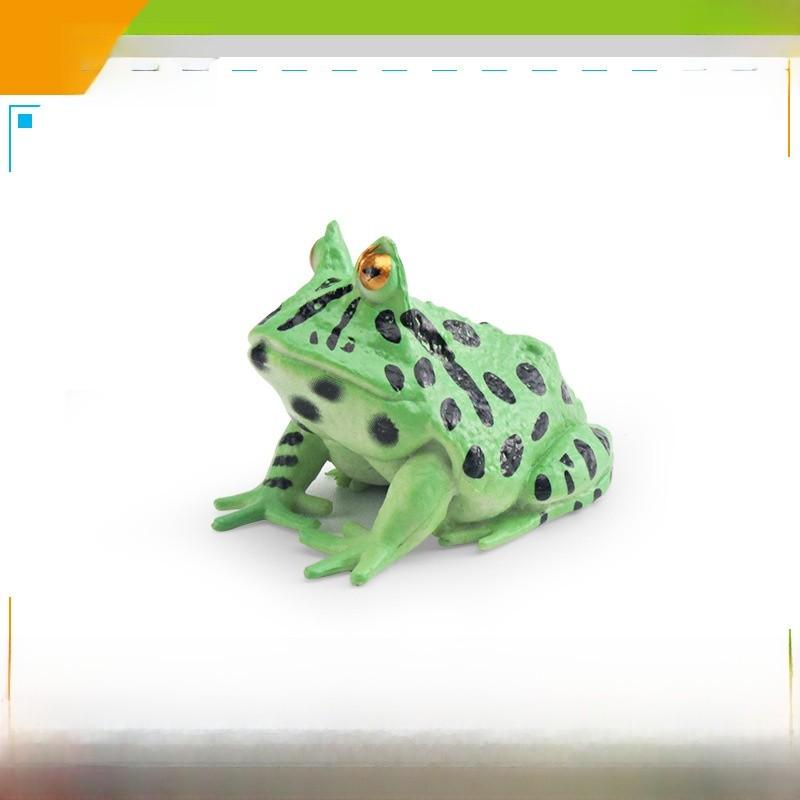 Wildlife Pvc Animal Models With Realistic Frog Collection For Children Educational Decor
