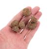 50/100PC Natural Acorn Cap Dried Acorn Decorative Christmas Tree Hanging Pendant DIY Autumn Fall Ornament For Golden Christmas