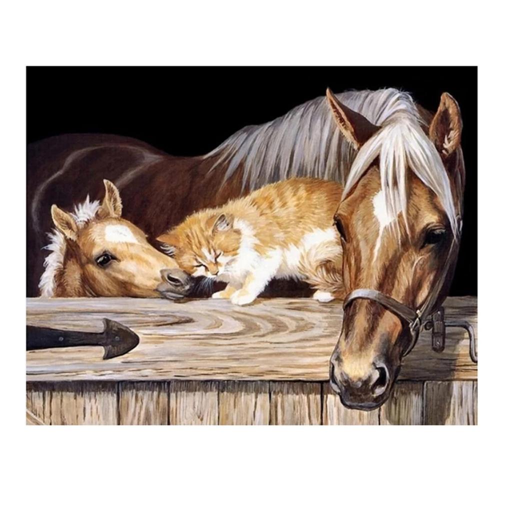 Prášek Tashichi 500g