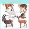 Detailed Static Animal Figurines Featuring Goat Alpaca Deer Baby Ostrich And Foal Perfect For Display