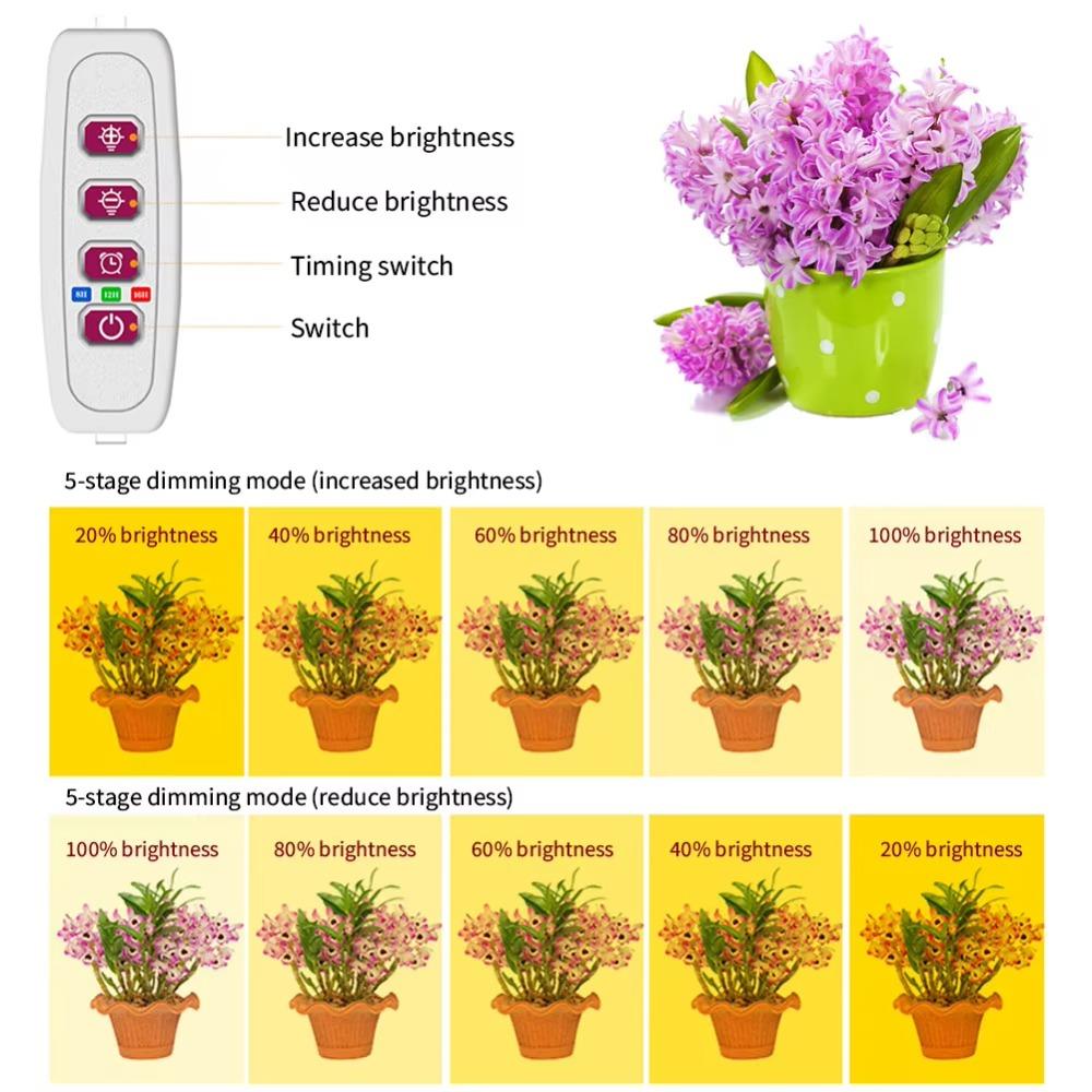 1/2/3/4 Red Blue LED Grow Light Strip Tube Indoor Plant USB Full Spectrum Phyto Lamp Dimmable Timer Seedlings Vegs Flower Lamp