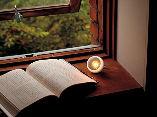 Snow Peak LED Lantern Tanehoozuki ES-041GR Green Battery-operated Camping Outdoor Disaster Preparedness