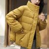 Commuter Versatile Down Jacket Loose Stand-up Collar Short Duck Down Jacket Thin Small Warm Light Coat Batch