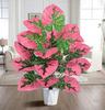 Alocasia 18 Leaf Plant with Deep Flowers for Indoor Home Decor