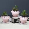 Creative Animal Cow Succulent Flower Pot Desktop Cartoon White Ceramic Flower Pot With Tray