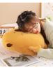 Winter Capybara Hand Warmer Plush Toy: Cute Anti-Freeze Hug Pillow for Students