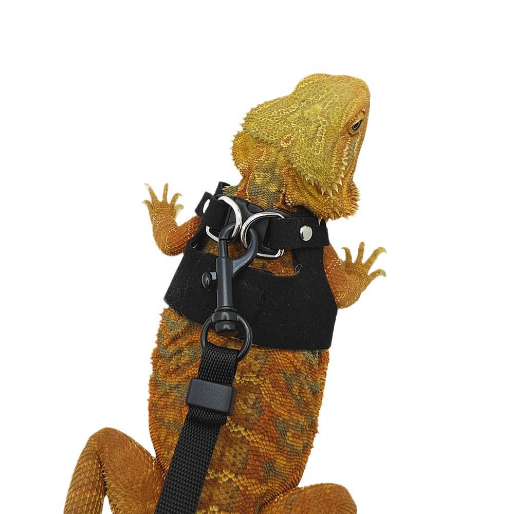 Laisse pour lézard: Harnais d'extérieur pour reptiles pour caméléons et écureuils