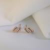 Fashionable Double Row Diamond Earrings for Women  New Trendy Light Luxury Niche Design Earrings