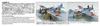 Aoshima Bunka Kyozai Aircraft Series 1 Kai Model Additional Model (AOSHIMA) 1/72 No. Ki-61-II (Ki-61-II Kai) Kit, Prototype, Number Ki-61-II ...