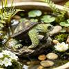 Turtle Figurines for Fish Tank Decor Cute Climbing Flower Pot Huggers, Resin Animal Planter Waterproof Garden Edges, Decorative Ornaments Indoor