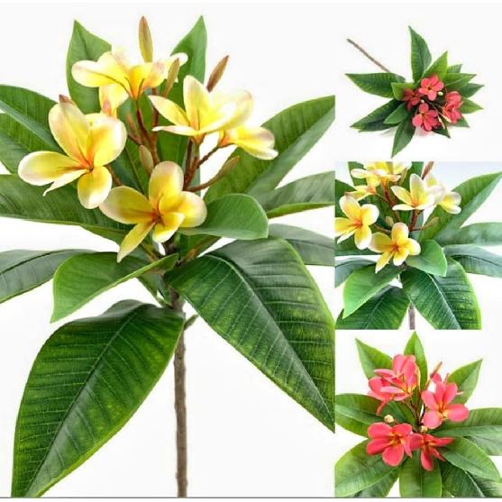 XIYUAN 35.5 Inch Artificial Flowers Artificial Frangipani Flower 2 Stems Lifelike Real Touch Artificial Plumeria Flowers for Home Party Wedding