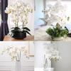 2PCS Artificial Flowers Orchid Set Real Touch 69cm Tall 9 Heads Fake Phalaenopsis Flower Vase Fillers Home Wedding Indoor Decor