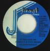 7inch Record JOHNNY P & FOXY BROWN - If You Love Me NONE Jammy's Records 1989 Jamaica Reggae, Ska & Dub Used