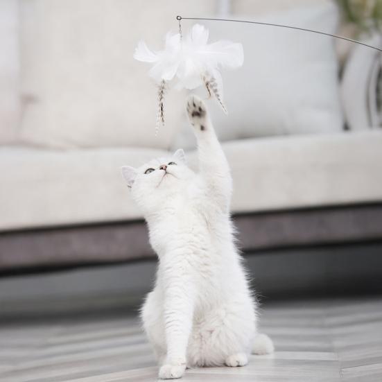 Katzen-Spielzeug mit starker Saugnapf, interaktiver Langeweile-Vertreiber, Stab-Spielzeug, Kreatives, Auffälliges Katzenspielzeug für Zuhause, Haustierbedarf