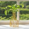 Decorative Glass Vase with Metal Wire Stand Clear Test Tube Vase with Iron Art Frame for Hydroponic Plant Modern Flower