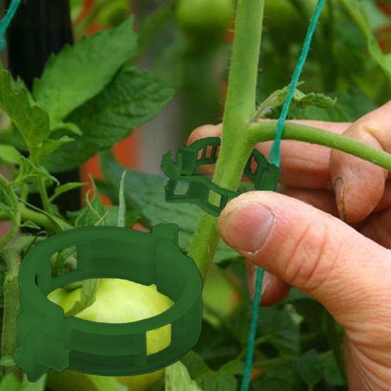 Plant Fixing Clip Reusable Tomato Vine Clips Garden Plant Support Clips for Tomato Grape Vine Vegetables Vertical