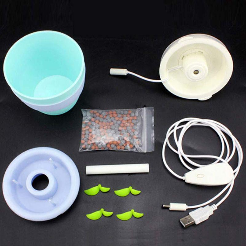 bearded dragon humidifier