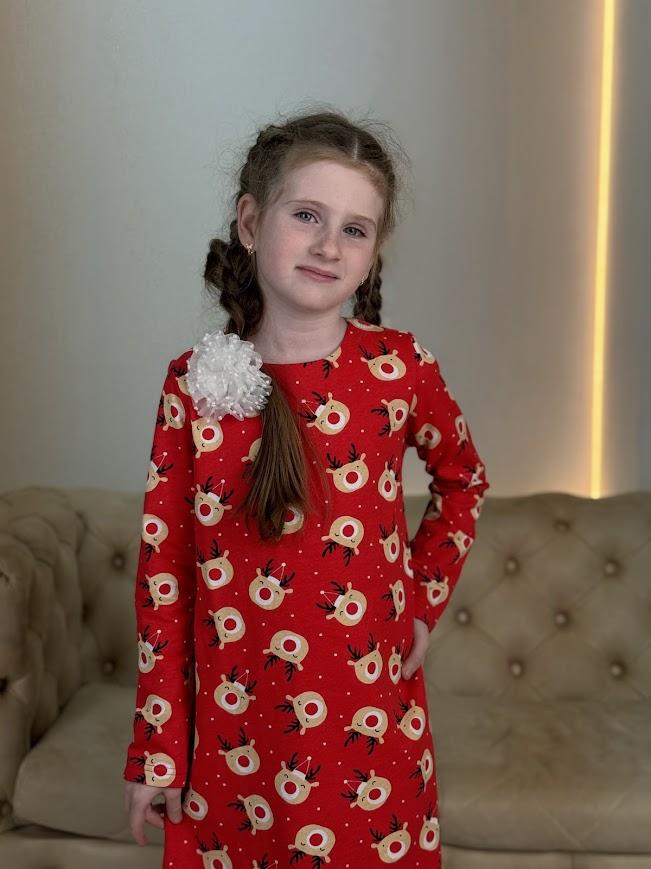 Girls’ Warm Dress – Soft Brushed Knit with Back Snap, Elegant & Comfy, Demi-season, 6004-024 HC