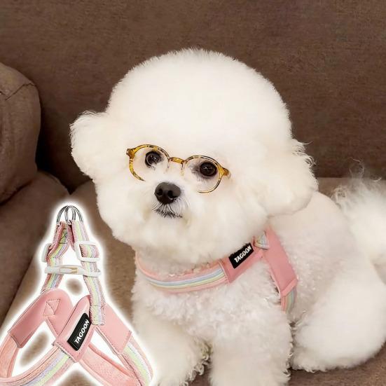 Folding Pet Bowl Portable Dog Water Bowl Foldable Pet Feeding Dish Collapsible Cat Bowl with Carabiner for Travel Outdoor Hiking