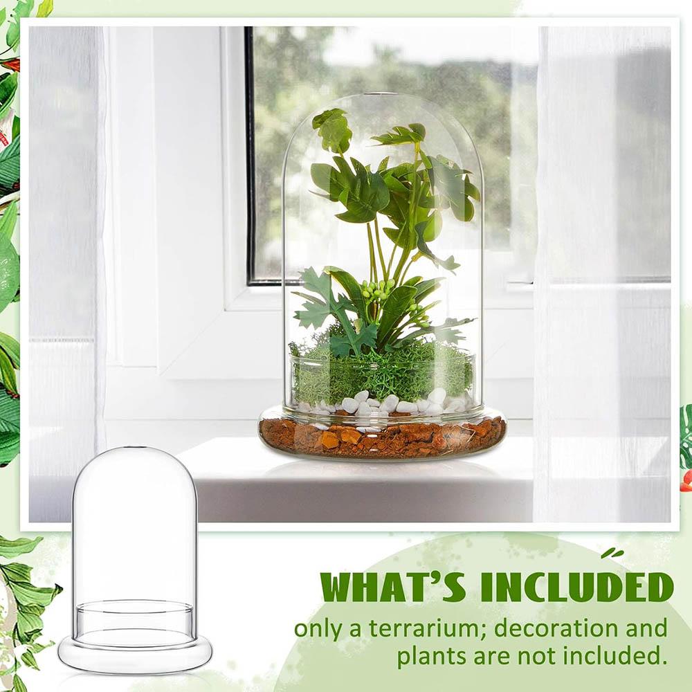 Cupola di Vetro con Foro per l'Aria Campana di Vetro a Cloche con Base Espositore da Tavolo per la Casa Contenitore Terrario Trasparente per Piante, Terrario