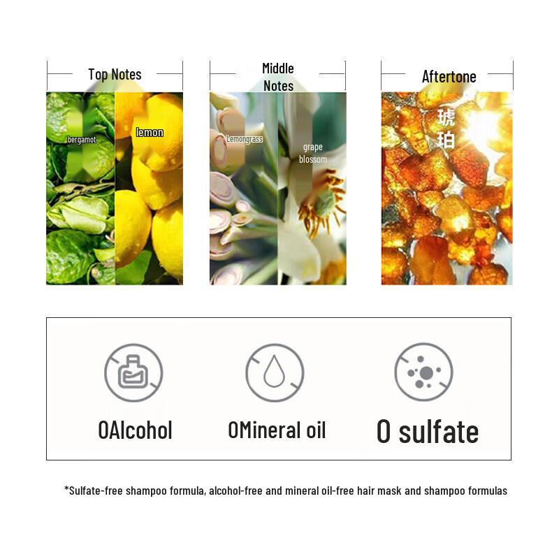 L'Oréal PRO Scalp Care Shampoo & Hair Mask Set