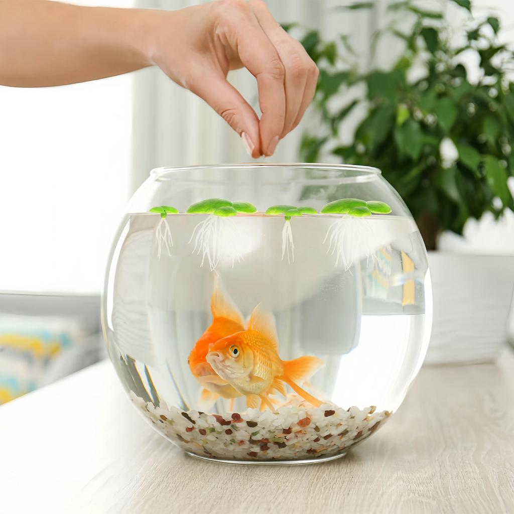 Pack of 2 Realistic Plastic Floating Water Lily Plants for Aquarium Fish Tank Decoration