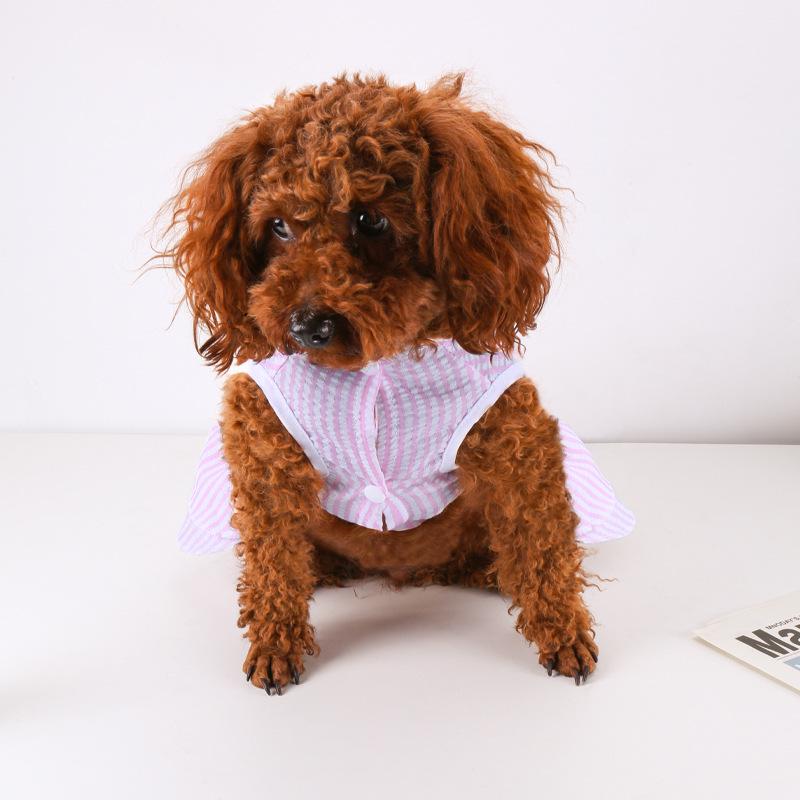 New Summer Thin Pet Bubble Skirt for Dogs Teddy Bear Design