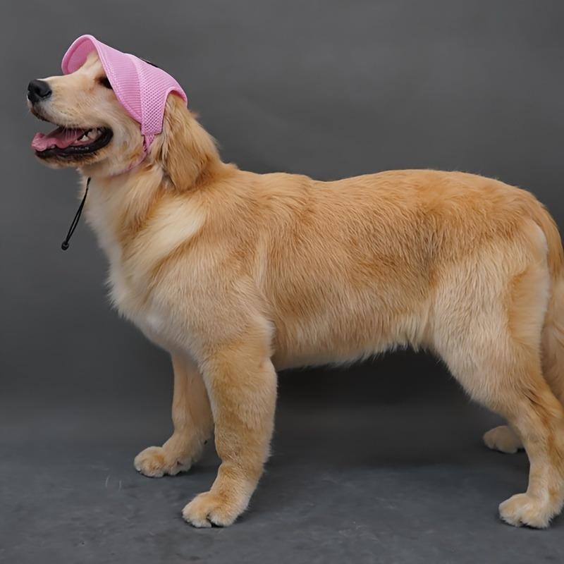 Cappellino da cane in rete traspirante con fori per le orecchie, vestibilità regolabile, verde chiaro per tutte le razze.