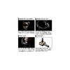 Daiwa Caldia LT2500S Spinning Reel Lightweight Durable Design Fishing Gear