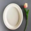 Disposable Sugarcane Pulp Oval Plates (500 Count)