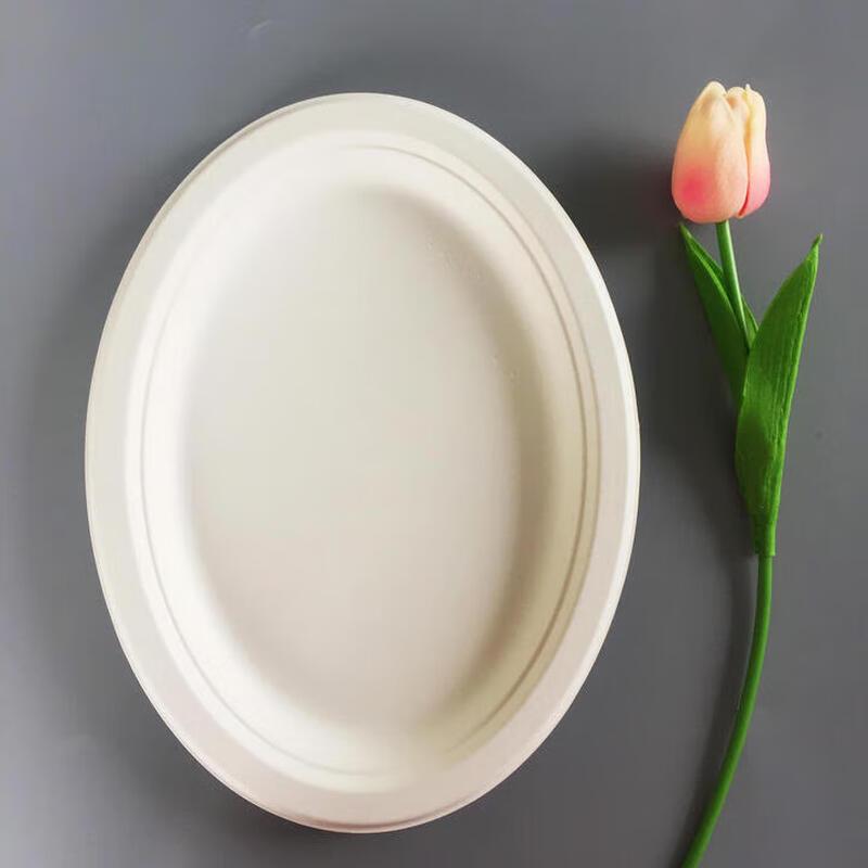 Disposable Sugarcane Pulp Oval Plates (500 Count)
