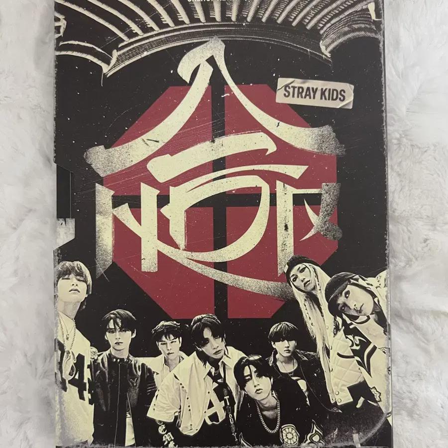 

Выпустить альбом с Poca 1.0) Stray Kids Совместный регулярный класс