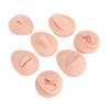 Silicone Body Part Model Soft Silicone Ear Mouth Nose Eye Tongue Navel Model with Display Rack for Teaching Display