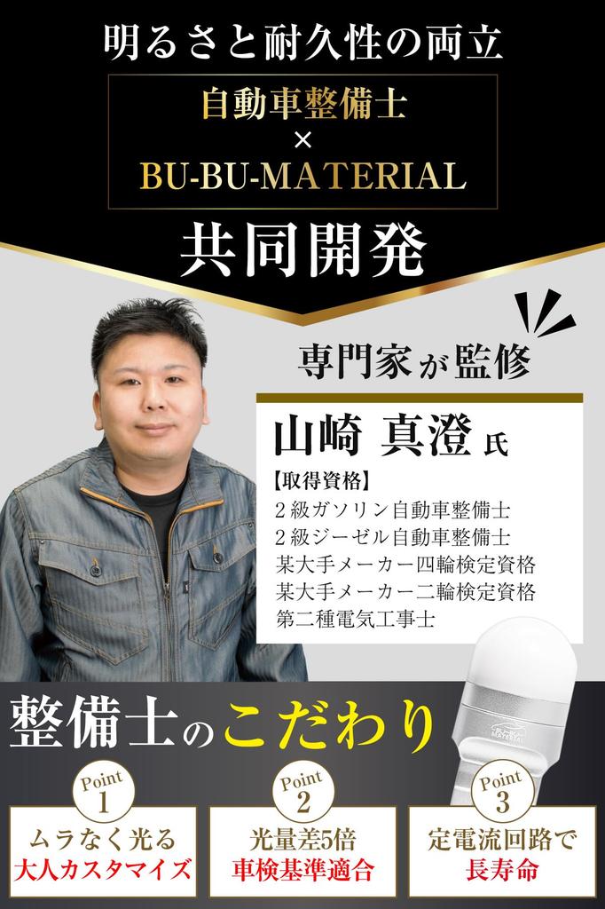 Bubu-Material T20 Double LED Red Flickering Brake Lamp Stop Lamp 12V Non-Polarity Constant Current Circuit Single Use 2 Pcs