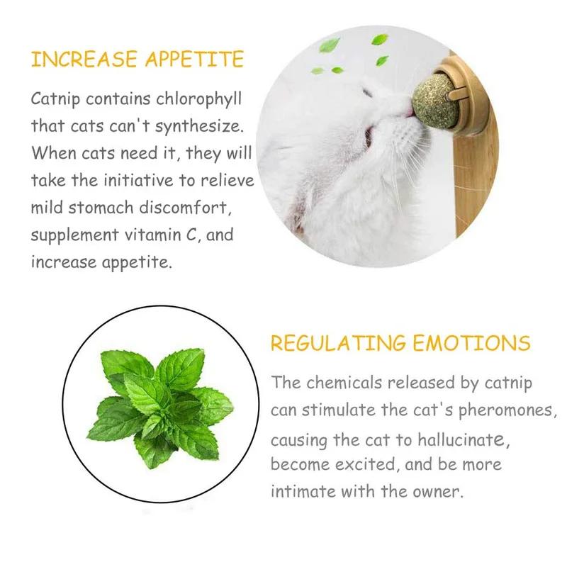 Natural Catnip Ball Rotating Cat Toy Edible Cat Mint Lickable Treats for Kittens Teeth Cleaning