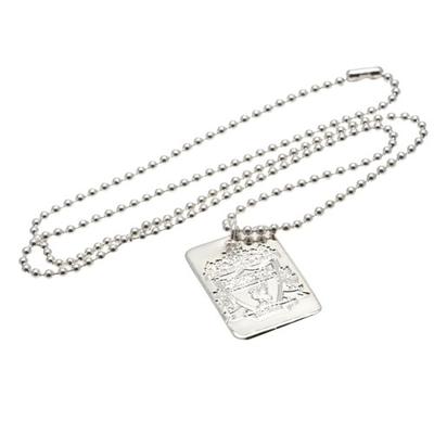 Silver Plated Dog Tag And Chain