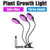 USB LED Grow Light 5V LED Grow Light Full Spectrum For Plants Lamp Aquarium For LED Indoor Vegetable Flower Seedling Grow Tent