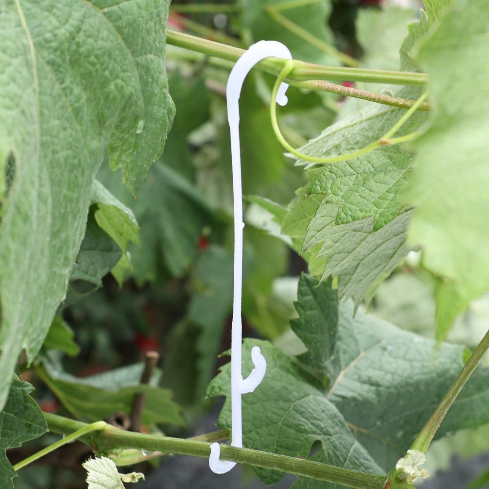 50/20/10Pcs J Shaped Tomato Hooks Vegetable Cherry Grape Plant Support Clips Prevent Tomato Fruit Cluster Hooks Garden Supplies