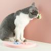 Pet Catnip Toys Edible Nature Mint Ball Safety Healthy Rotatable Cat Chasing Game Toy Clean Teeth Product with Box