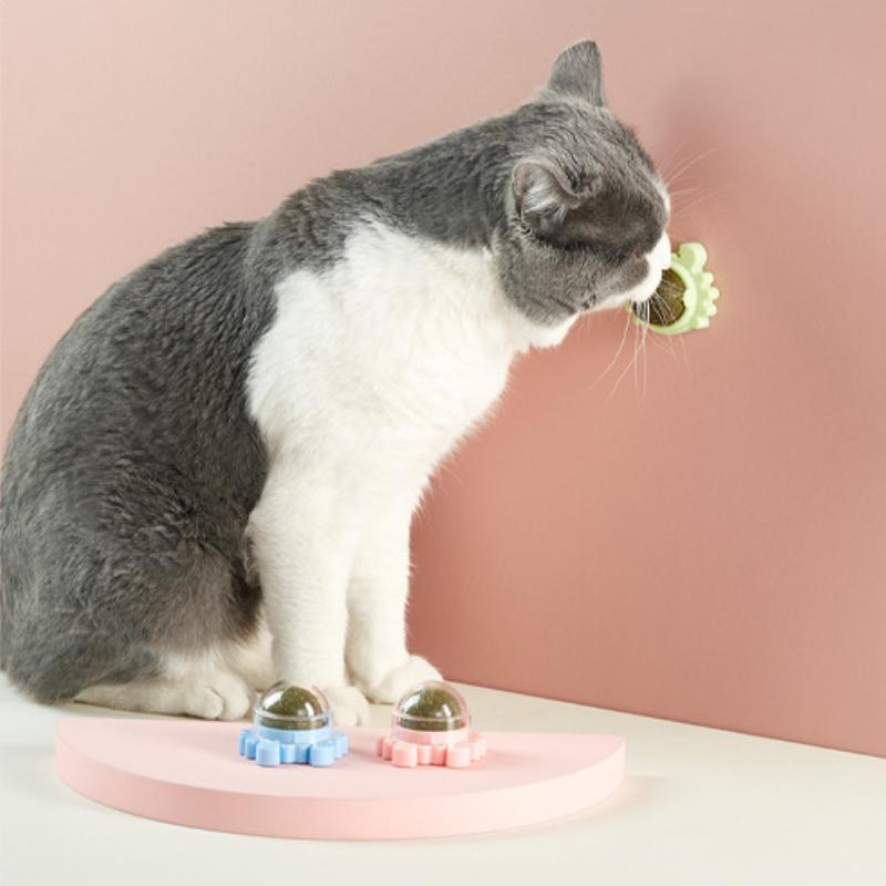 Pet Catnip Toys Edible Nature Mint Ball Safety Healthy Rotatable Cat Chasing Game Toy Clean Teeth Product with Box