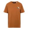 Mens Cline IX Mountain T-Shirt