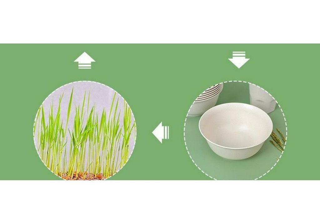 Eco-Friendly Biodegradable Rice Husk Bowls for Hot Pot, Weddings & Banquets