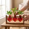 Transparent Hydroponic Plant Vase 3/2 Bottle Wooden Frame Vase  Living Room