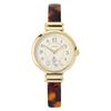 Fieldwork Analog Moomin Japanese Bangle Comes In a Dedicated Suitable for and Acrylic Watch J Little My Brown Women's Watch, Design, Movement,