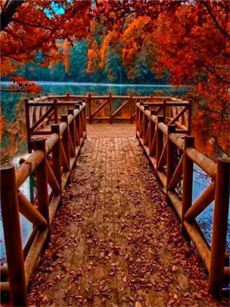 5D Diamond Painting New Arrivals Tree Bridge Full Square Round Embroidery Mosaic Landscape Home Decor