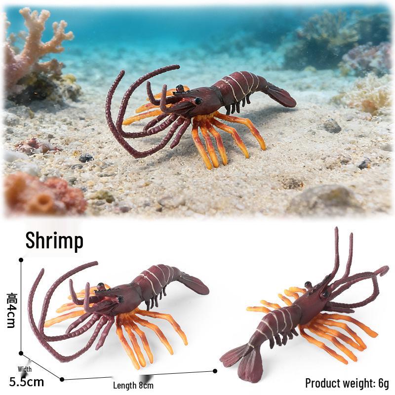 Ocean Crab Simulation Toy Set: Includes Hermit, Swimming, and Three-Spot Plastic Models